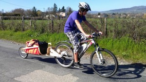 remorque bois avec sac - aravisenergies